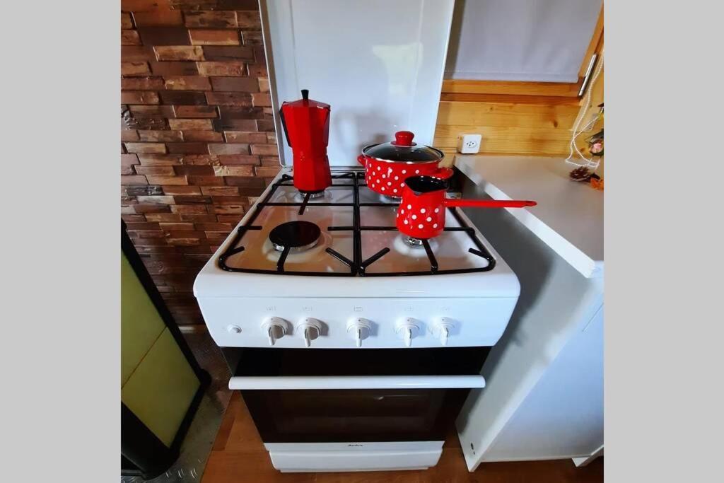 Apartamento Autarkes Tiny House Mit Rheinblick Rumikon Exterior foto